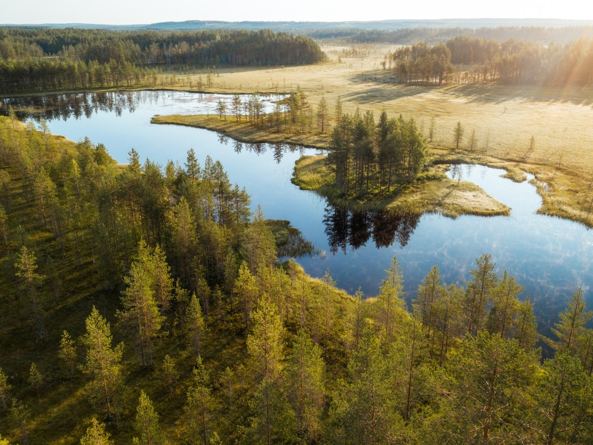 Luonnon monimuotoisuus kuuluu jokaisen yrityksen ympäristöohjelmaan