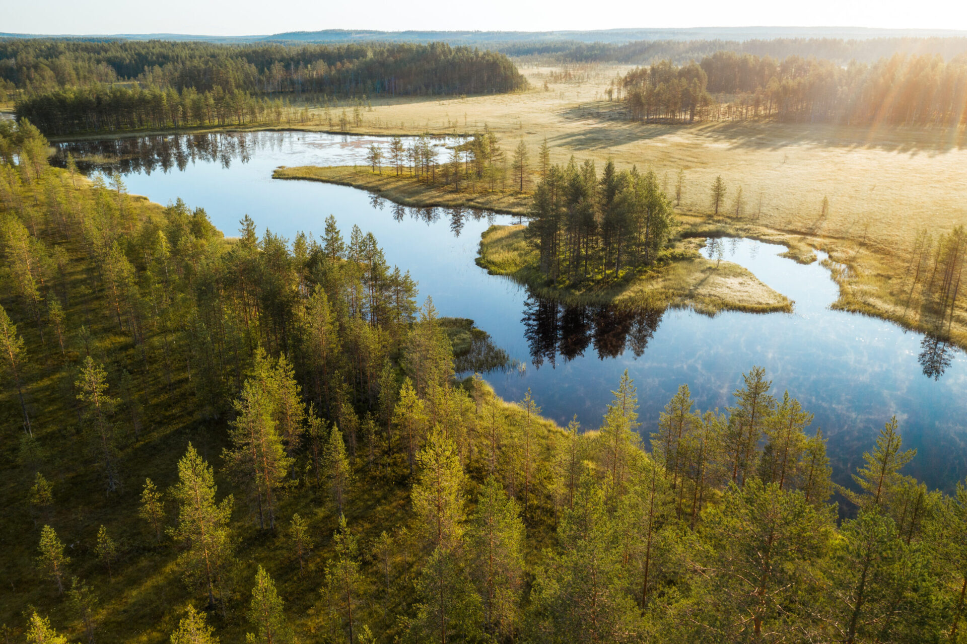 Luonnon monimuotoisuus kuuluu jokaisen yrityksen ympäristöohjelmaan